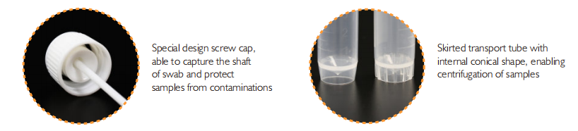 Transport Tube（features)