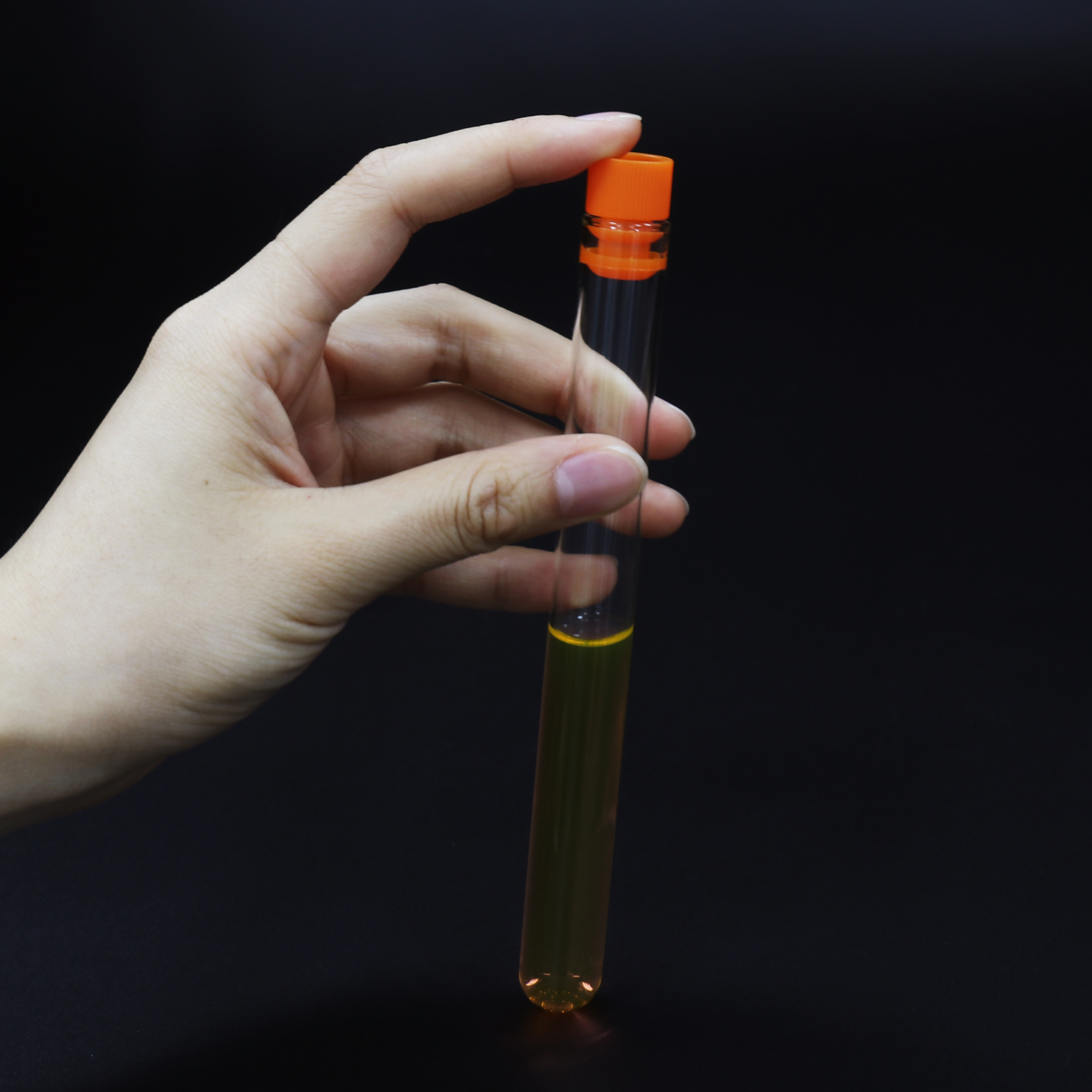 ULAB Scientific Glass Test Tubes with PE Flange Stoppers, Vol.16ml, 16x150mm, Extra Autoclavable PP Tube Closures Offered, Pack of 10, UTT1001